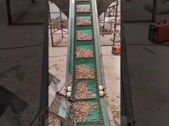 50HZ リングは機械 450-700mm を作る木質ペレット機械 3 段階の垂直ペレットを死にます