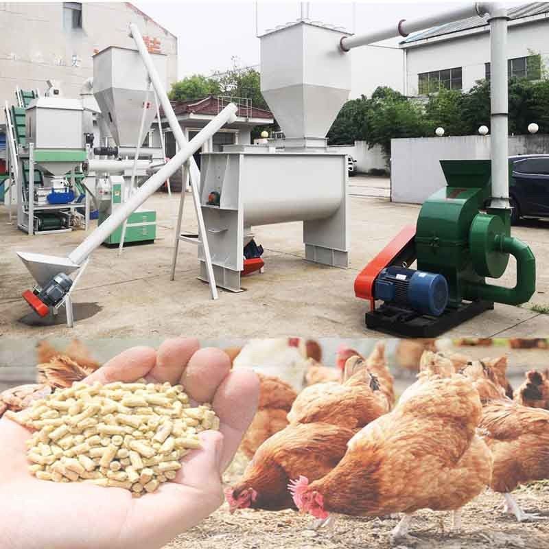 家禽飼料用ステンレス鋼構造2000kg/H容量リングダイ飼料ペレットミル