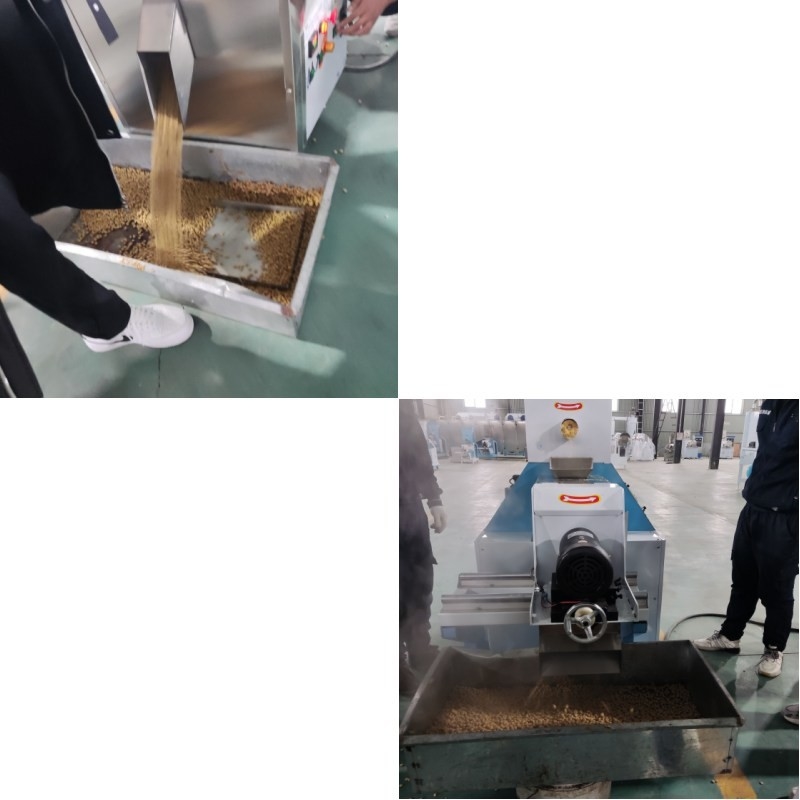 自動型乾燥型魚飼料エクストルーダー 大規模生産のための電気加熱