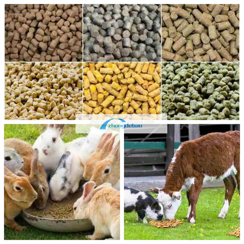 新世代の飼料製造機械 魚飼料ペレット機械 90-120 KG/H 飼料ペレット工場