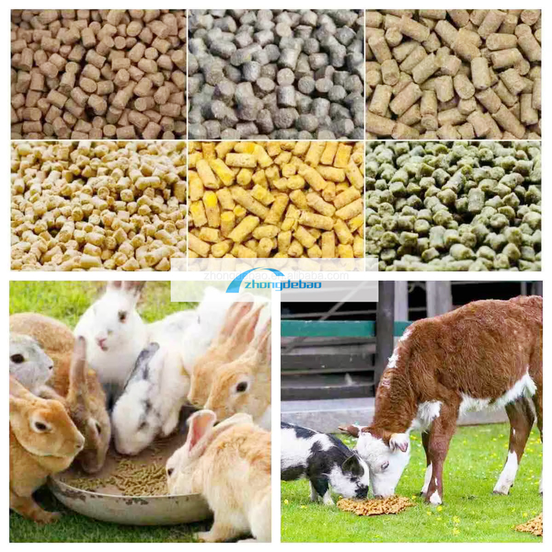 600-800 KG/H出力 魚 動物用飼料工場 犬と猫用飼料ペレット機器 食品エクストルーダー ペレット化機