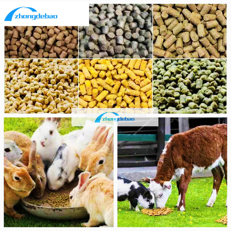 10HPディーゼル型飼料ペレット機 90kg/h 動物飼料ミール機